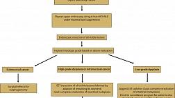 Рекомендации по эндоскопическому лечению пациентов с дисплазией и внутрислизистым раком при пищеводе Баррета.